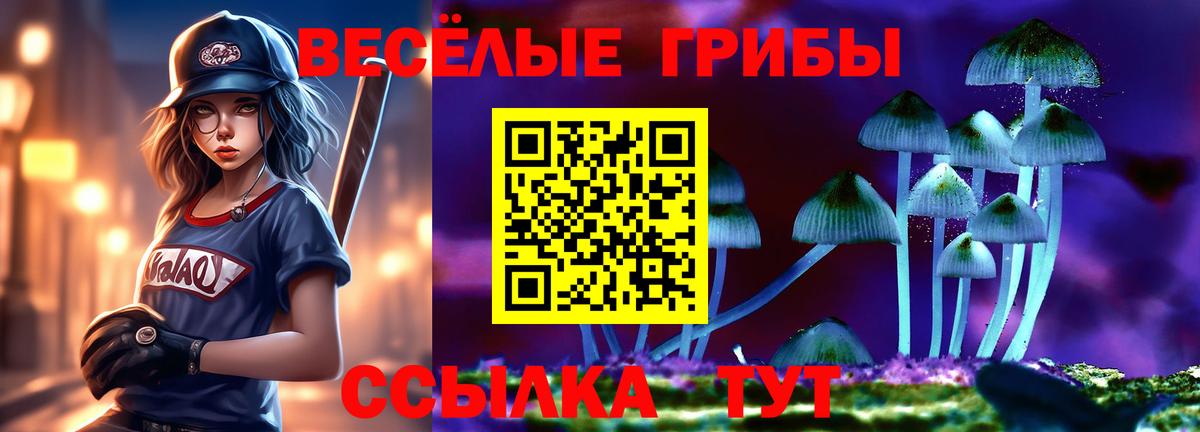 Галлюциногенные грибы ЛСД  Вход с VPN  Вязники 